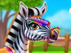 Zebra Bakımı